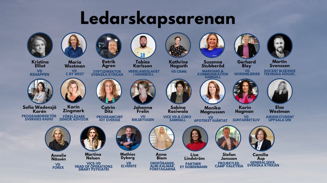 Almedalen Panel 2025 one page